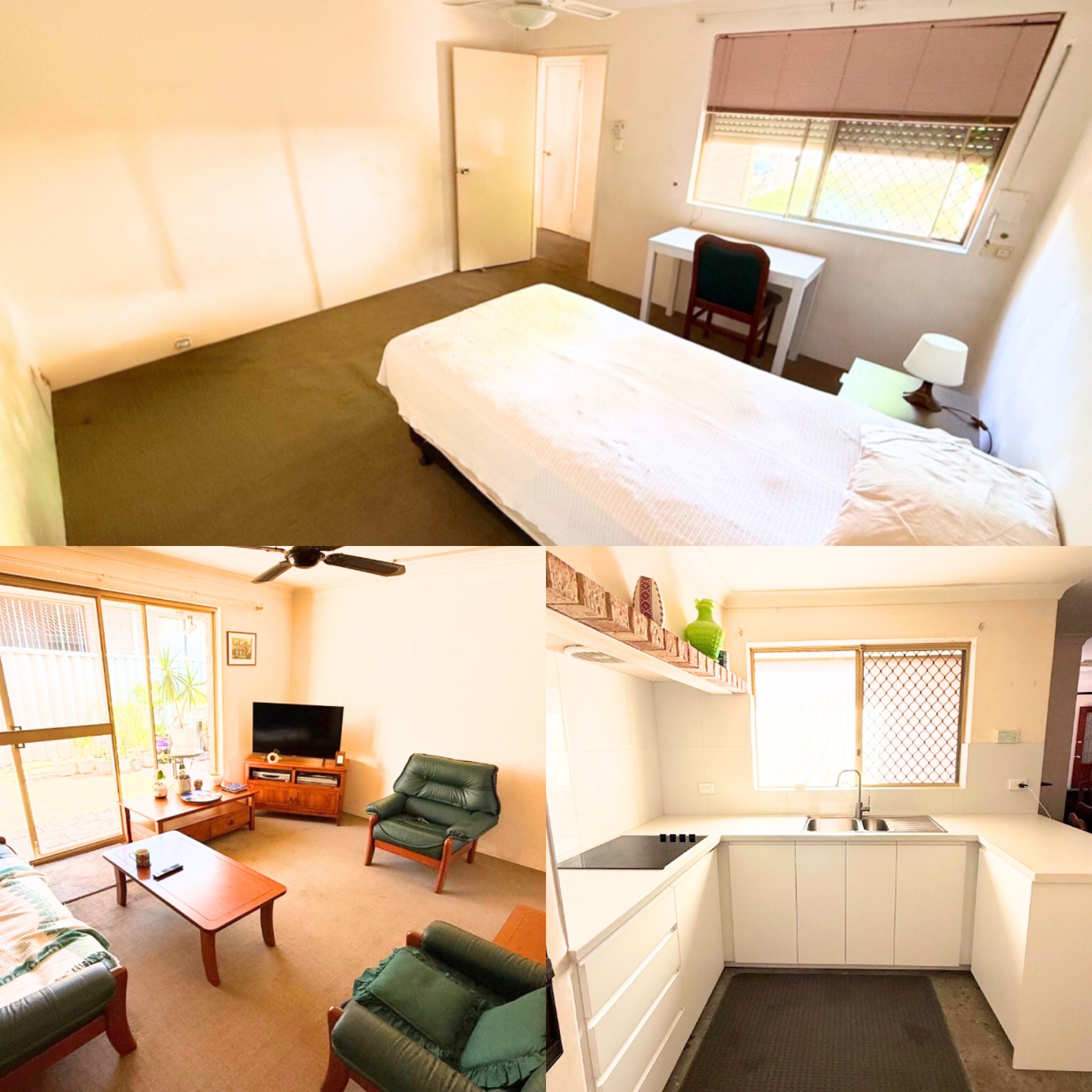 画像:クリックすると閉じます