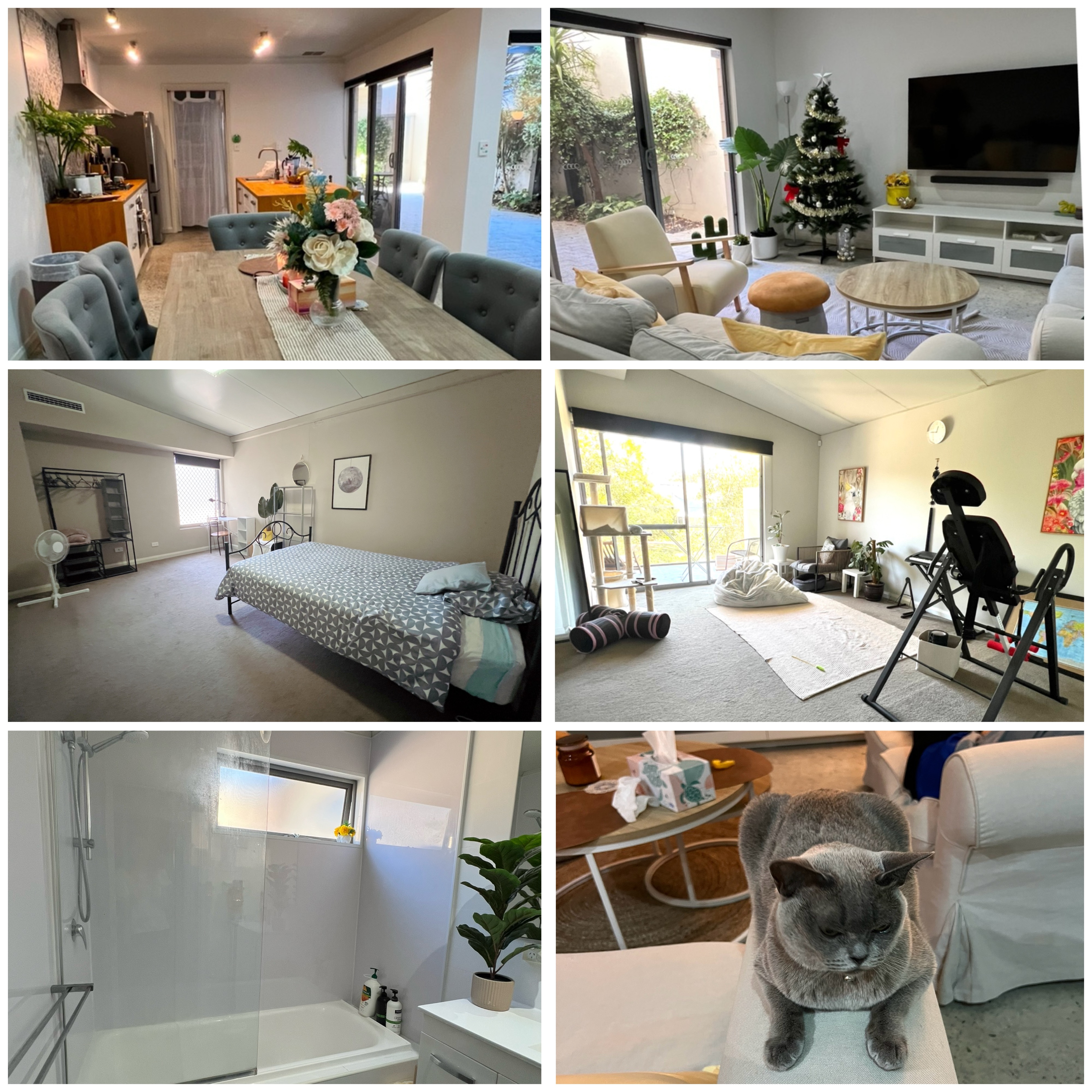 画像:クリックすると閉じます